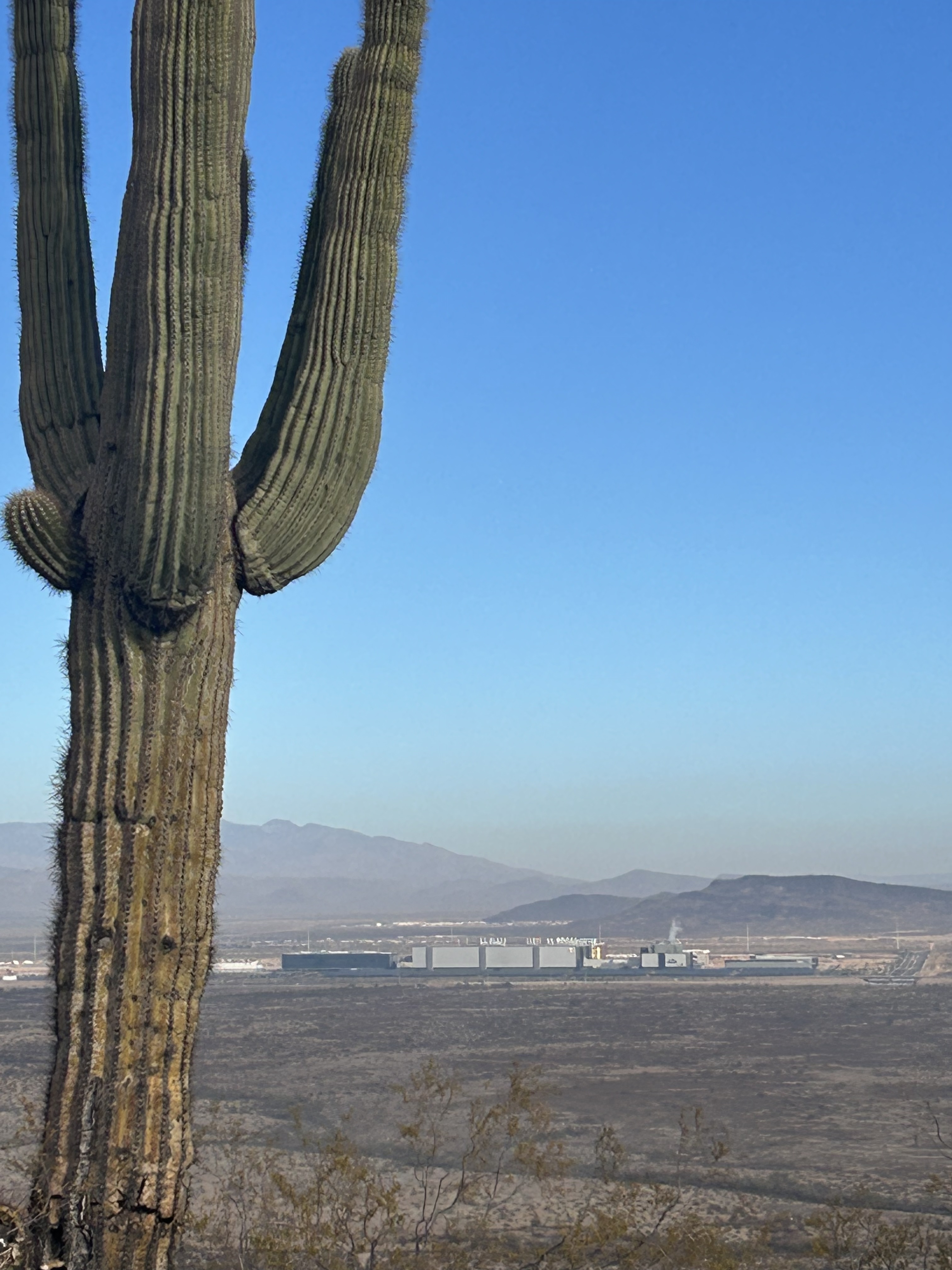 TSMC fab in the Arizona desert with saguaro cactus in foreground